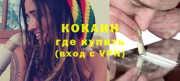 молекула духа Алексин