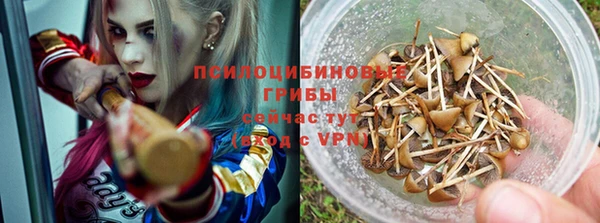 Альфа ПВП Алзамай