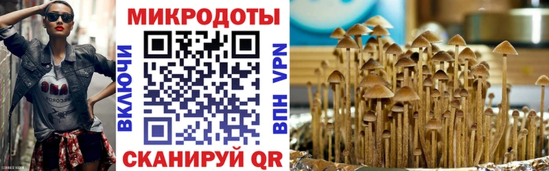 как найти закладки  Советск  blacksprut ссылка  Галлюциногенные грибы Magic Shrooms 