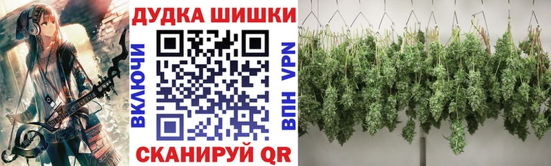 купить наркоту Советск Шишки марихуана конопля